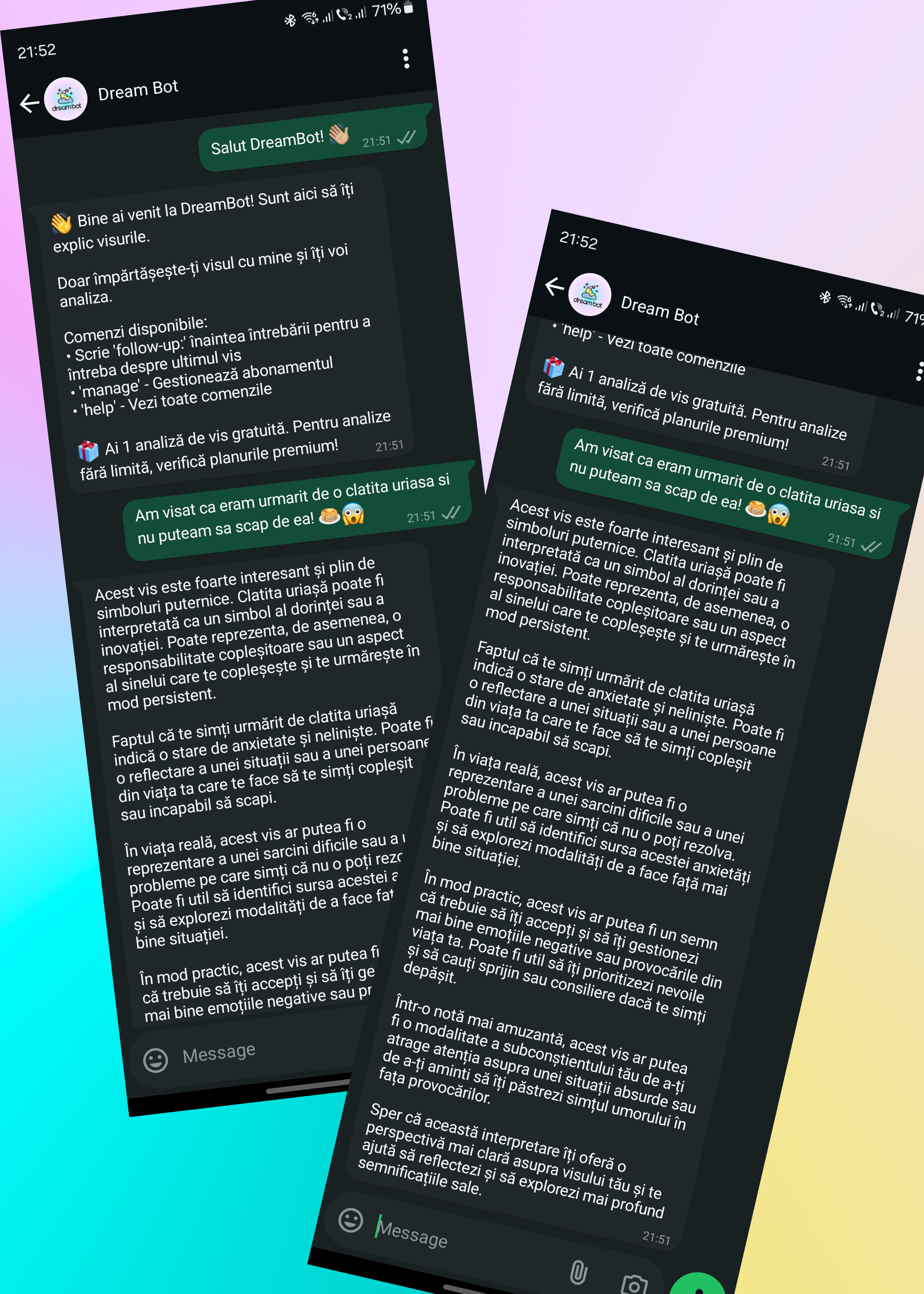 DreamBot în acțiune pe WhatsApp